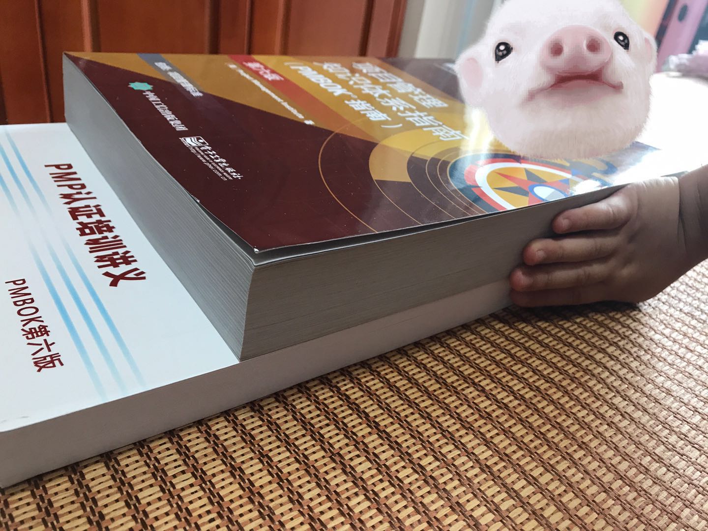 PMP备考感悟缩略图