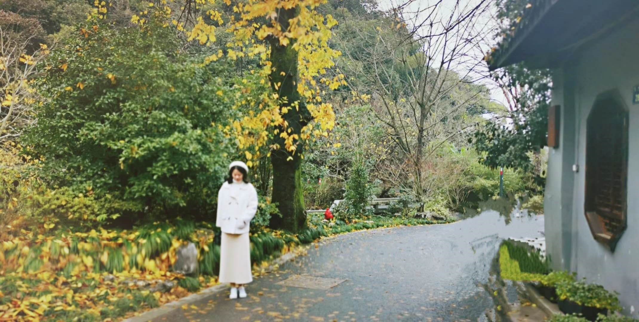 非专业人士备考心得缩略图