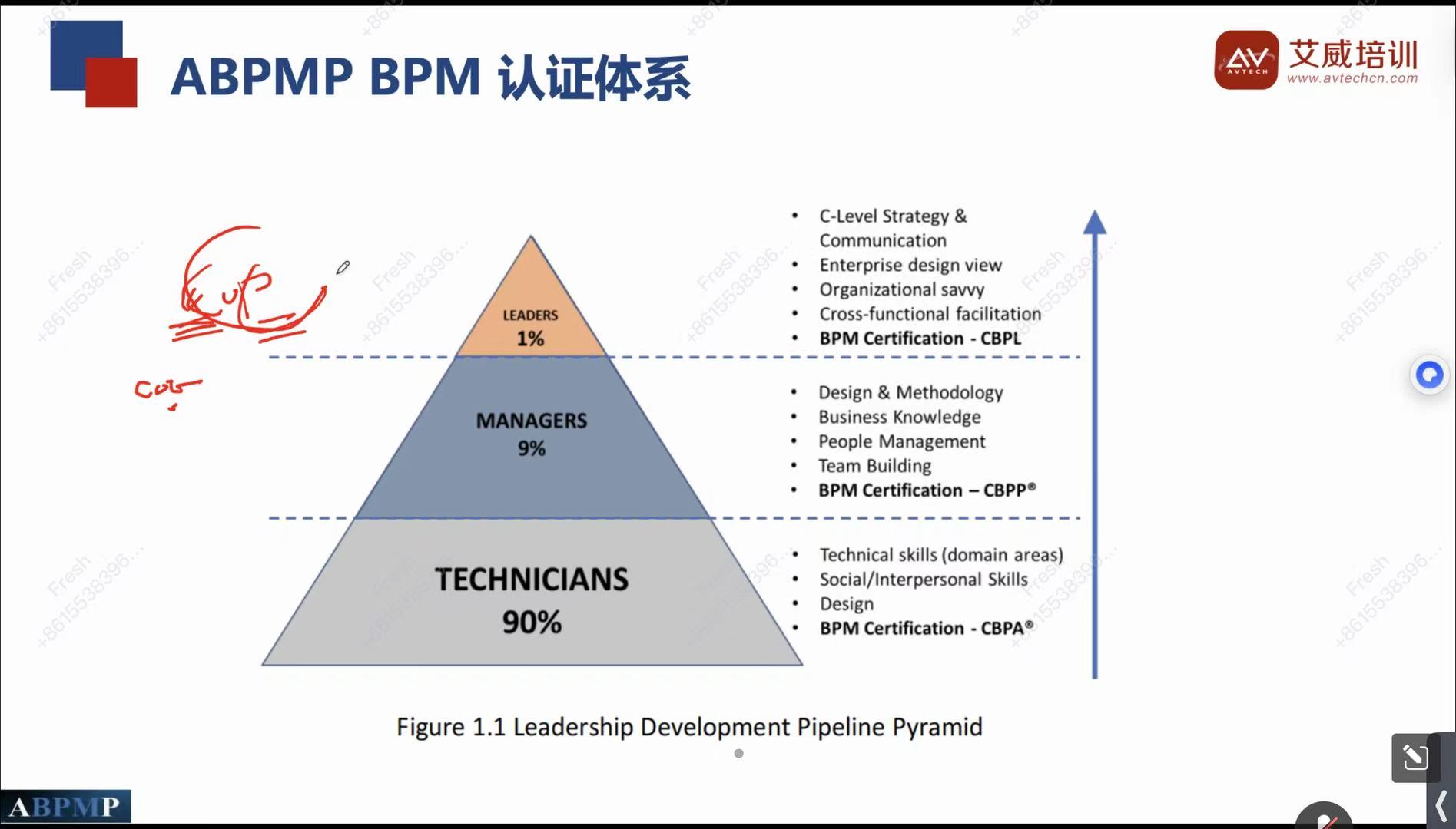 聚焦业务流程变革与组织赋能，艾威培训2025年12月CBPP认证互动直播班顺利开班