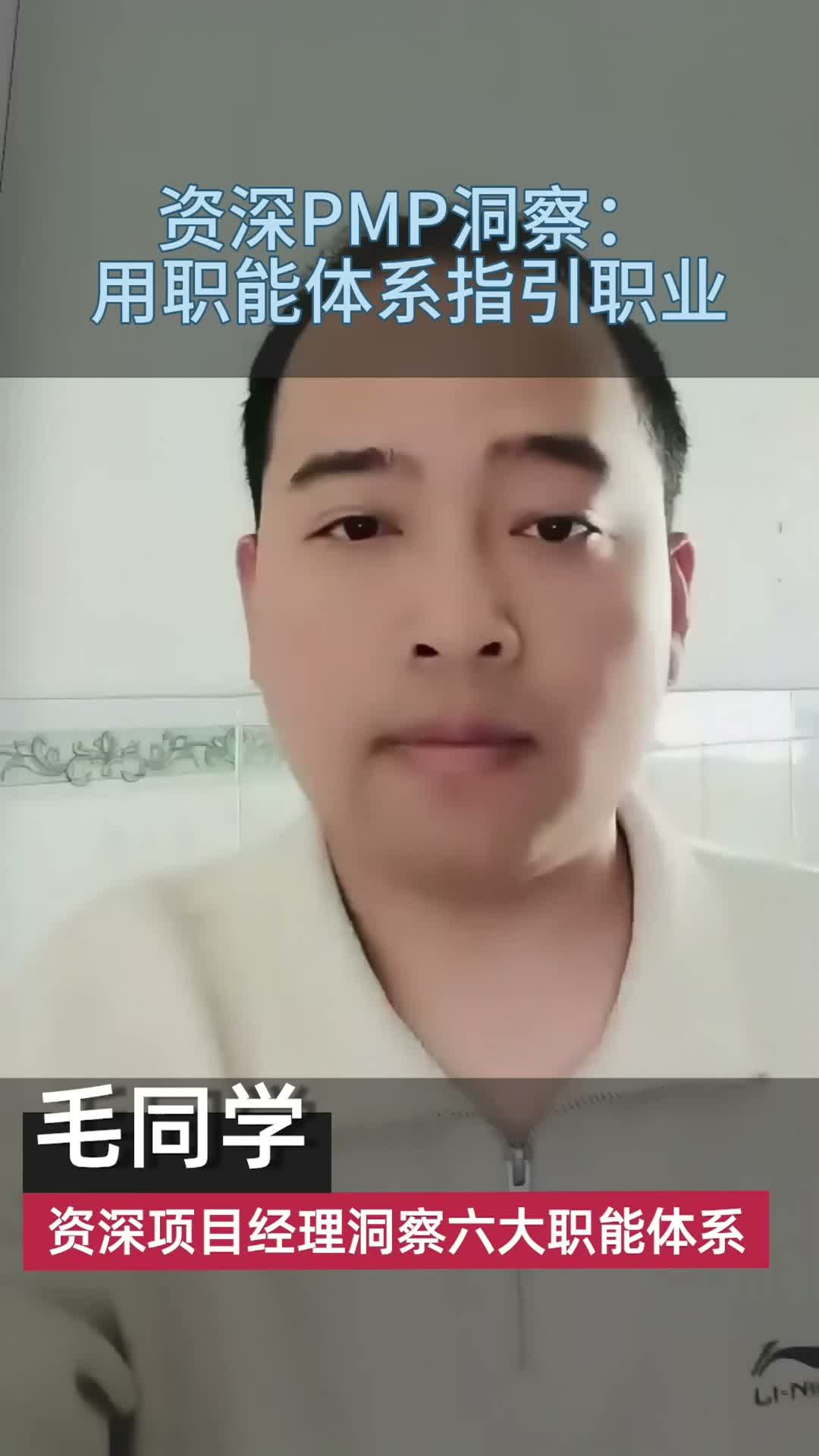 六大职能域不是枷锁，而是层层递进的成长地图：一位PMP老学员的职业洞察缩略图